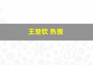 王楚钦 热搜